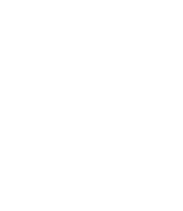 Digibots Creative Solutions